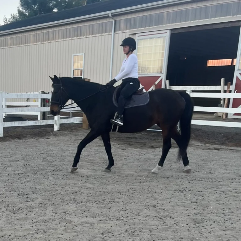 Prosthetic foot for horseback riding and active mobility